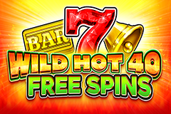 Wild Hot 40 Free Spins logo