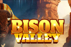Bison Valley logo