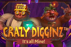 Crazy Digginz It's All Mine logo
