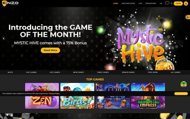 Enzo Casino Homepage Image