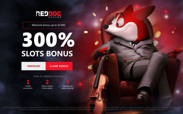 Red Dog Homepage Image