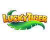 lucky-tiger