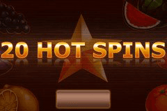 20 Hot Spins logo