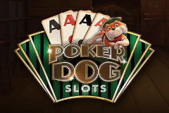 Poker Dog Slots logo