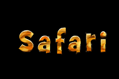 Safari logo