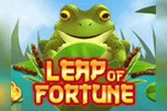 Leap of Fortune logo