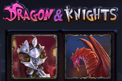 Dragon & Knights logo