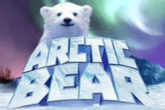 Arctic Bear logo