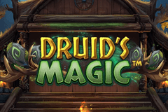 Druid's Magic logo