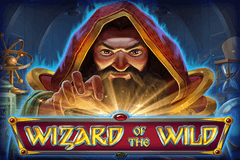 Wizard of the Wild logo