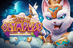 Cats of Olympuss logo