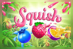 Squish logo