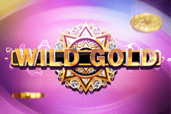 Wild Gold logo