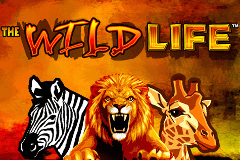 The Wild Life logo