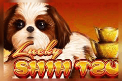 Lucky Shih Tzu logo