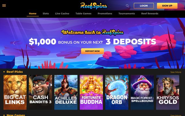 Reef Spins Homepage Image