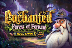 Enchanted Forest of Fortune logo