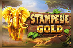 Stampede Gold logo