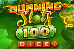 Burning Slots 100 Dice logo