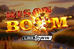 Bison Boom logo