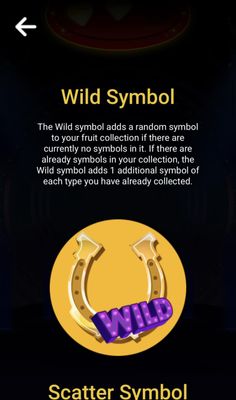 Wild Symbol