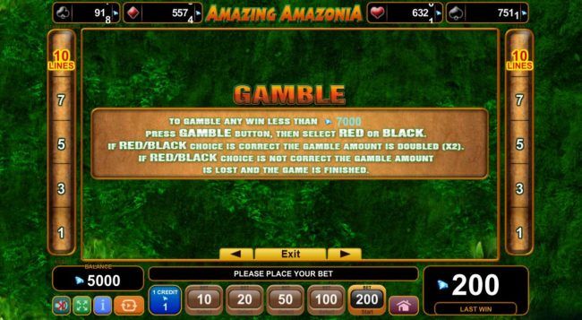 Double Up Gamble Feature Rules