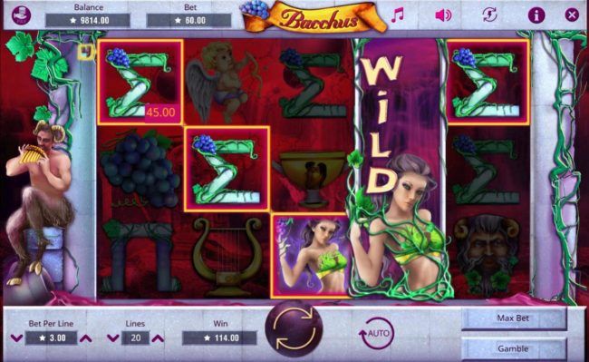 Wild Reel triggers multiple winning paylines