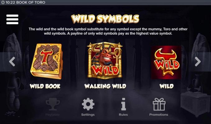 Wild Symbol Rules