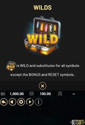 Wild Symbol