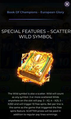 Wild and Scatter Rules