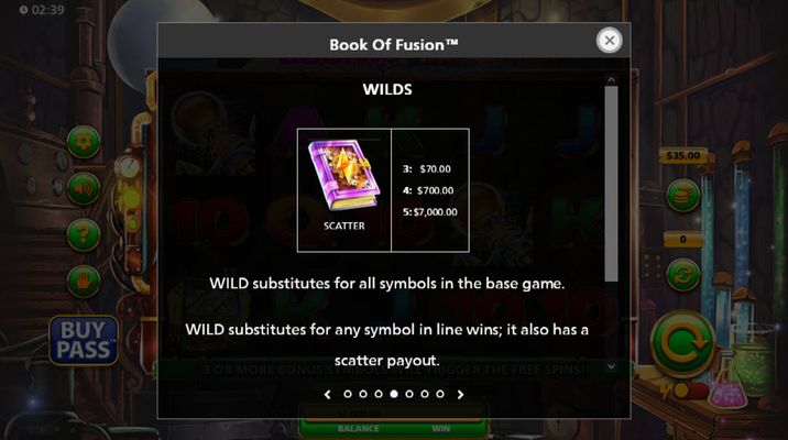 Wild Symbol