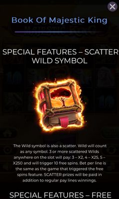 Wild and Scatter Rules