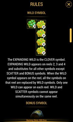 Wild Symbol