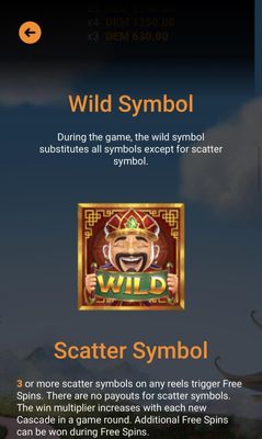 Wild Symbol