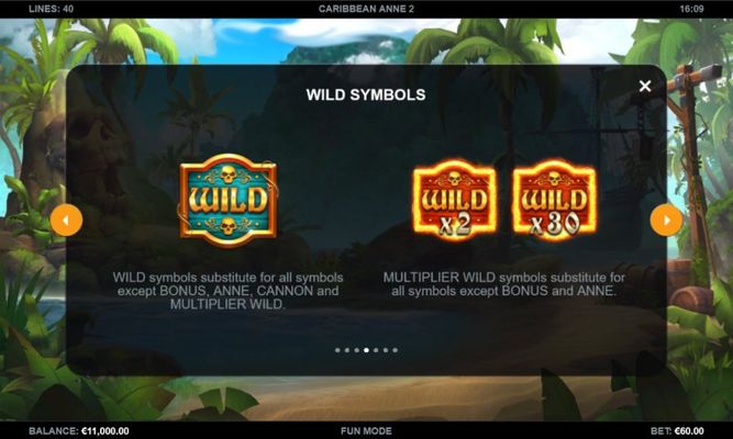 Wild Symbol Rules