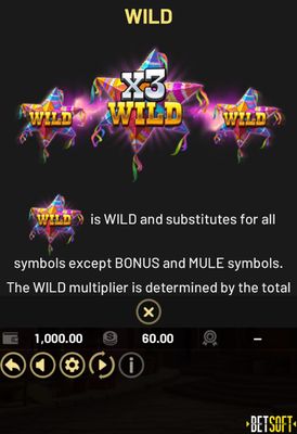 Wild Symbol