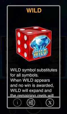 Wild Symbol