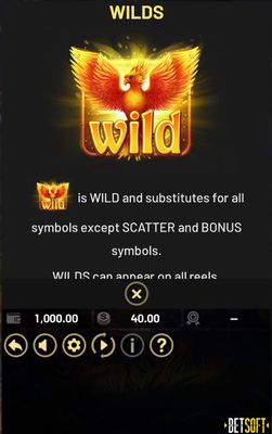 Wild Symbol