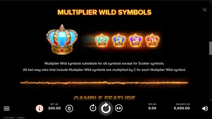 Wild Symbol Rules