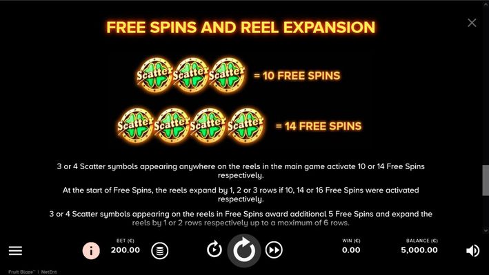 Free Spin Feature Rules