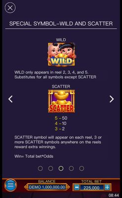 Wild and Scatter Rules