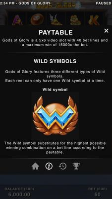 Wild Symbol