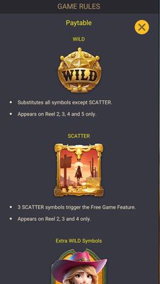 Wild and Scatter Rules