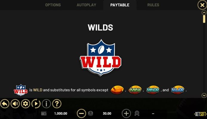 Wild Symbol