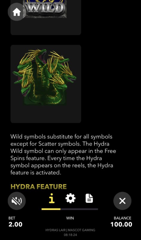 Wild Symbol