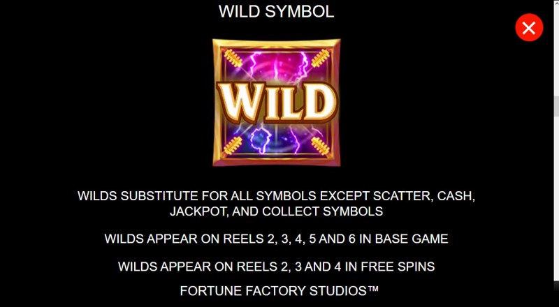 Wild Symbol