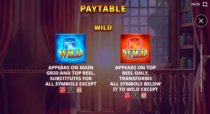 Wild Symbol Rules