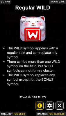 Wild Symbol