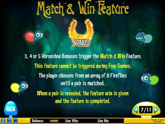 Match and Win Feature Rules