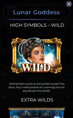 Wild Symbol